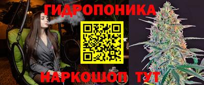 хмурый Малоярославец