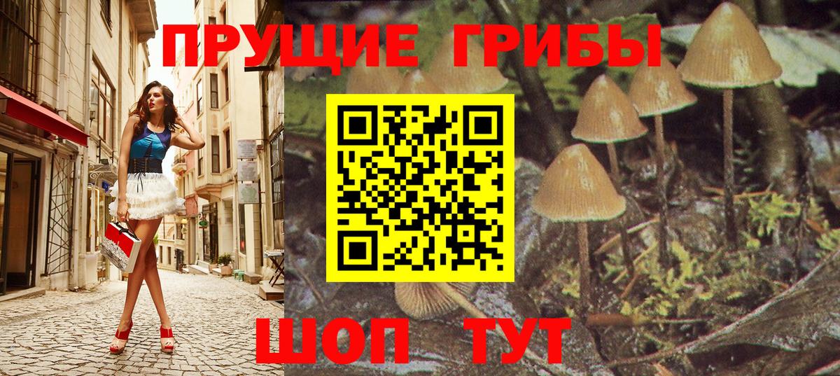 Галлюциногенные грибы ЛСД Великий Новгород