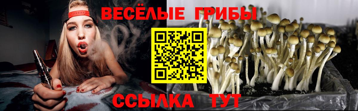 Псилоцибиновые грибы MAGIC MUSHROOMS  Вход с VPN  Псилоцибиновые грибы Magic Shrooms  Великий Новгород 